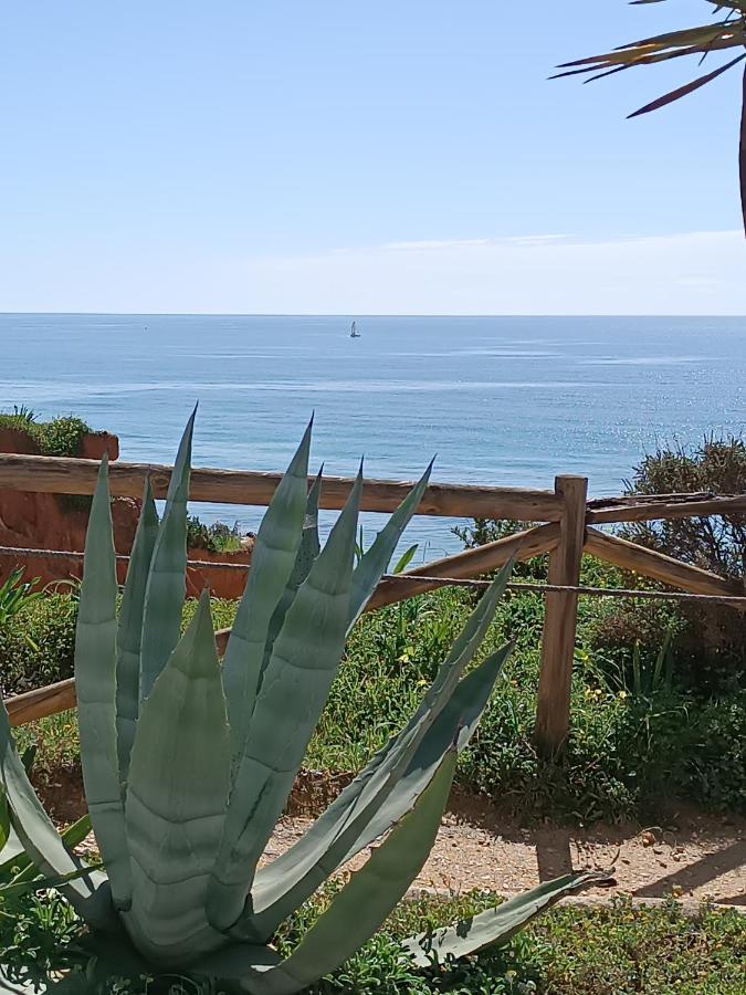 Mar A Vista Algarve Summer ポルティマン エクステリア 写真